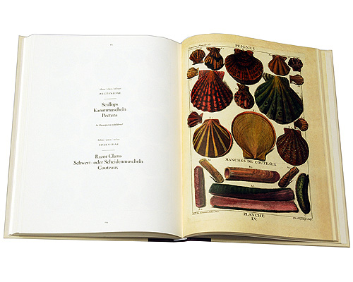 Shells-Muscheln-Coguillages 2009 г Твердый переплет, 216 стр ISBN 978-3-8365-1111-7 Языки: Английский, Французский, Немецкий Цветные иллюстрации инфо 1687k.