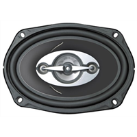 Колонки Premiera RS-9 598719 2010 г инфо 12889k.