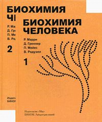 Биохимия человека (комплект из 2 книг) Издательства: Мир, Бином Лаборатория знаний, 2009 г Твердый переплет, 800 стр ISBN 978-5-9963-0016-7, 978-5-03-003855-1, 0-8385-3648-4 Тираж: 1500 экз Формат: 84x108/16 (~205х290 мм) инфо 10373b.