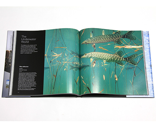 Wildlife Photographer of the Year: Portfolio 19 Издательство: BBC Books, 2009 г Суперобложка, 160 стр ISBN 978-1-846-07760-9 Язык: Английский Формат: 260x260 Мелованная бумага, Цветные иллюстрации инфо 13047f.