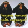 Магнит "Сколько, сколько тебе стукнуло?" пластик Производитель: Россия Артикул: М-324 инфо 6842h.