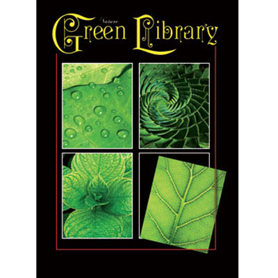 Пакет подарочный "Green Library", 26 см x 33 см x 13 см бумага Изготовитель: Китай Артикул: 16076 инфо 490i.